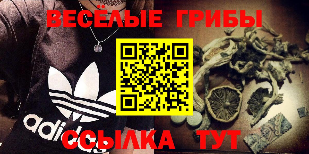 наркошоп  Галлюциногенные грибы ЛСД  Вход с VPN  Будённовск 