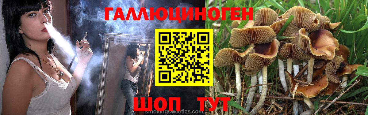 Псилоцибиновые грибы Psilocybine cubensis Будённовск
